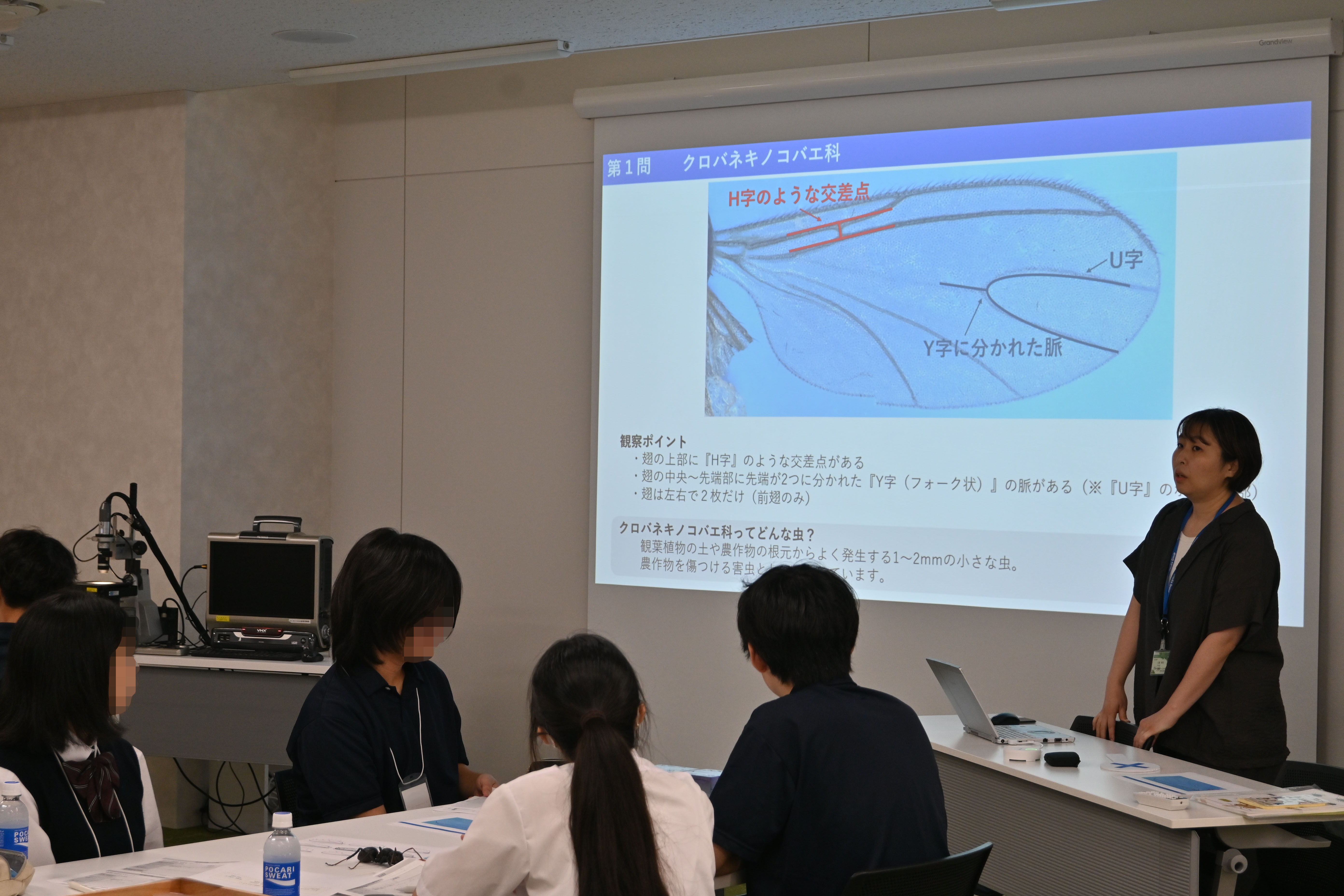 昆虫の判定方法の説明